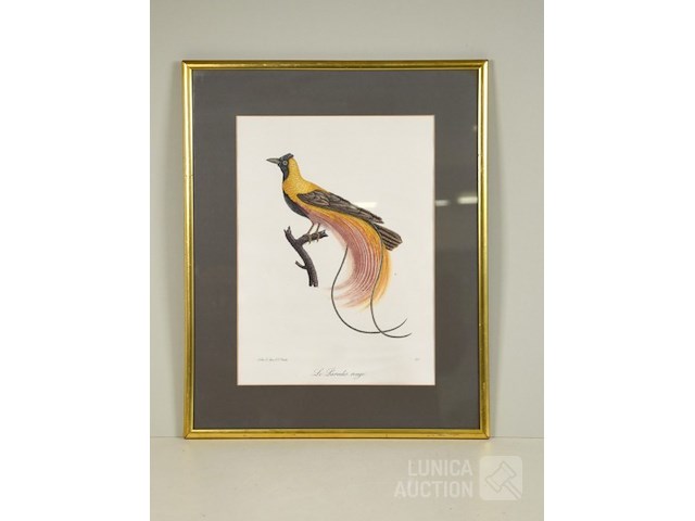 Prent "le paradis rouge" - afbeelding 1 van  3