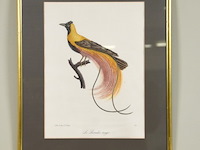 Prent "le paradis rouge" - afbeelding 1 van  3