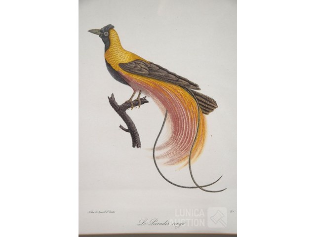 Prent "le paradis rouge" - afbeelding 2 van  3