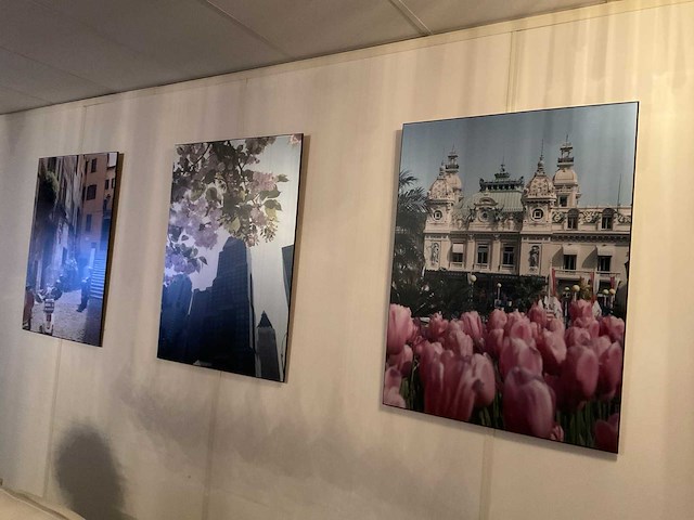 Prenten in lijst (5x) - afbeelding 3 van  9