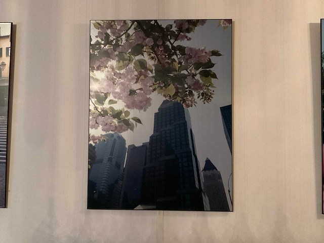 Prenten in lijst (5x) - afbeelding 4 van  9