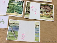Prenten liebig - afbeelding 3 van  3