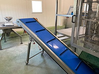 Prewa p250.15.002-elesco verpakkingsmachine met transportband en bordes - afbeelding 10 van  10