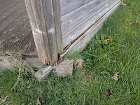 Prieel - afbeelding 6 van  14