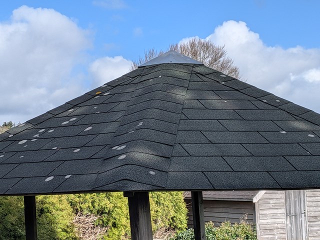 Prieel - afbeelding 13 van  14