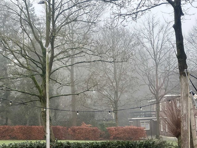 Priksnoer 30 meter met 50 led lampen - afbeelding 2 van  3