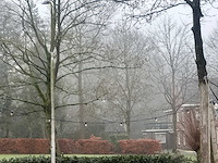 Priksnoer 30 meter met 50 led lampen - afbeelding 2 van  3