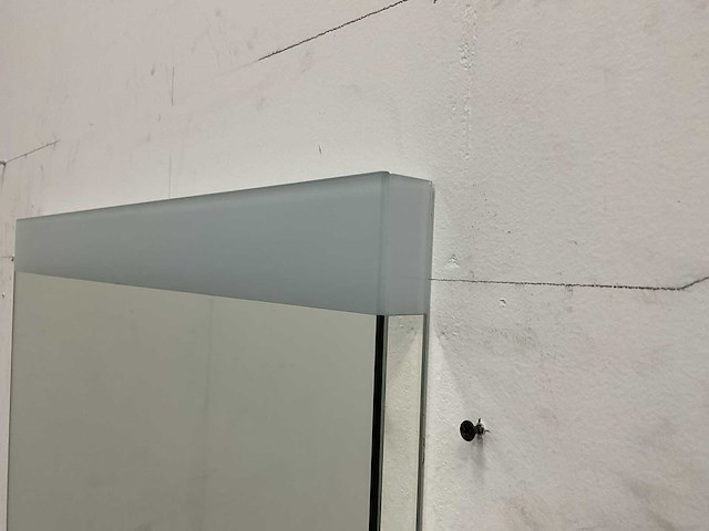 Primabad - spas 600 - spiegel 60 x 75 cm - afbeelding 4 van  5