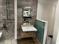 Primabad move mindervalide wastafelopstelling - afbeelding 1 van  10