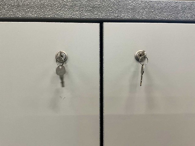 Prioriteit en92:196-120 brandwerende kast - afbeelding 6 van  6