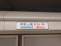 Professionele koel / vrieswand de rigo - afbeelding 19 van  19