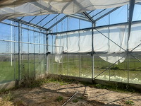 Professionele tuinkas (158,6m2) - afbeelding 11 van  23