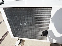 Profroid / carrier - afbeelding 6 van  7