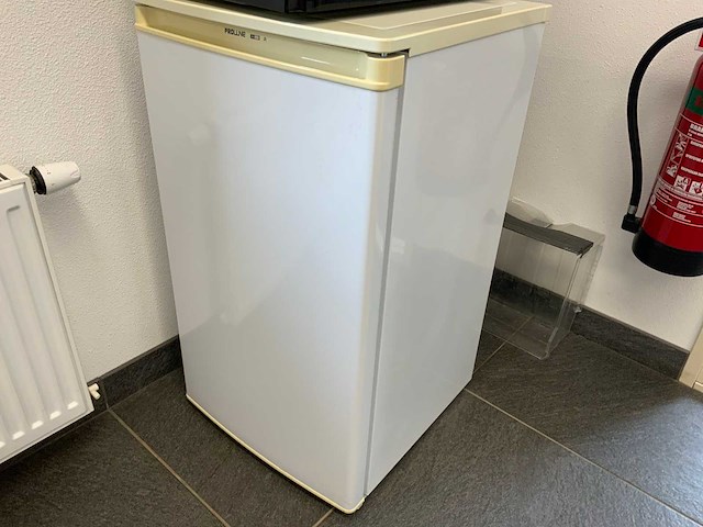 Proline prl2060 vriezer - afbeelding 1 van  4