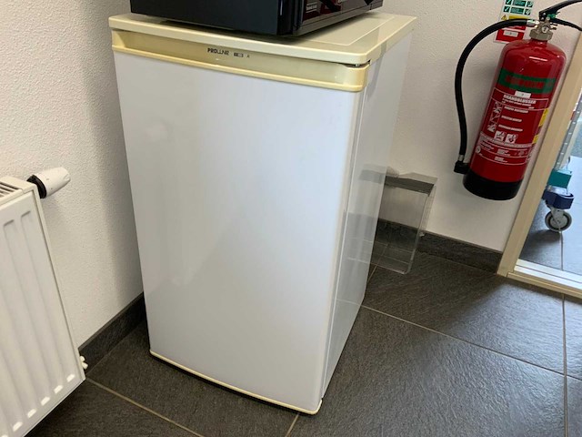 Proline prl2060 vriezer - afbeelding 2 van  4