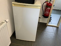 Proline prl2060 vriezer - afbeelding 3 van  4