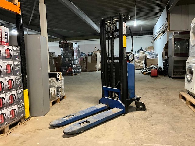 Proteus stapelaar - afbeelding 1 van  9