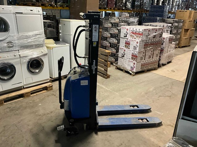 Proteus stapelaar - afbeelding 2 van  9