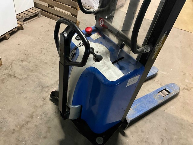 Proteus stapelaar - afbeelding 9 van  9