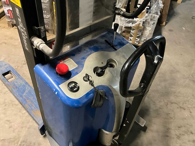 Proteus stapelaar - afbeelding 3 van  9