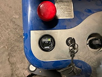 Proteus stapelaar - afbeelding 4 van  9