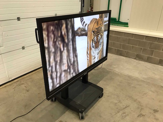 Prowise (pw.1.13065.0002) 65”, 3840x2160 (uhd) led interactive whiteboard - afbeelding 2 van  6
