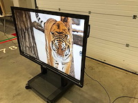 Prowise (pw.1.13065.0002) 65”, 3840x2160 (uhd) led interactive whiteboard - afbeelding 3 van  6