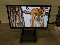 Prowise (pw.1.13065.0002) 65”, 3840x2160 (uhd) led interactive whiteboard - afbeelding 1 van  6