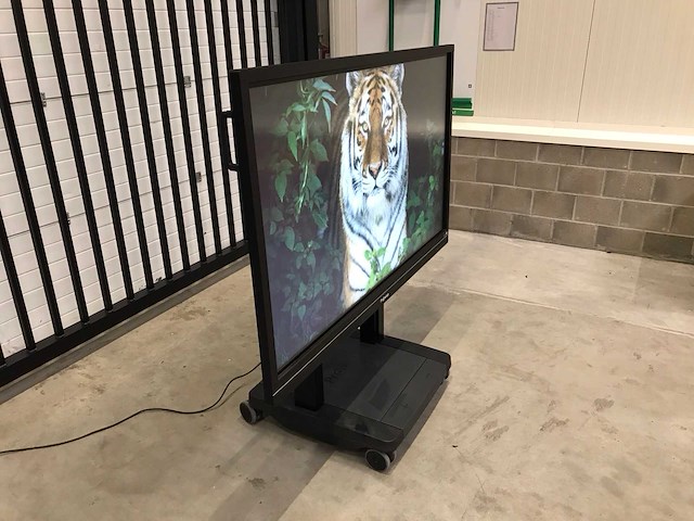 Prowise (pw1.13065.0002) 65”, 3840x2160 (uhd) led interactive whiteboard - afbeelding 2 van  6