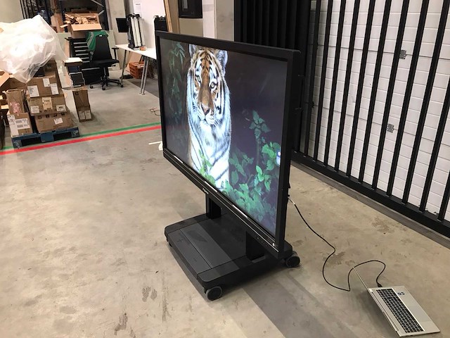 Prowise (pw1.13065.0002) 65”, 3840x2160 (uhd) led interactive whiteboard - afbeelding 3 van  6