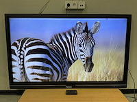 Prowise (pw.1.13065.0002) 65”, 3840x2160 (uhd) led monitor - afbeelding 1 van  6