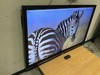 Prowise (pw.1.13065.0002) 65”, 3840x2160 (uhd) led monitor - afbeelding 2 van  6