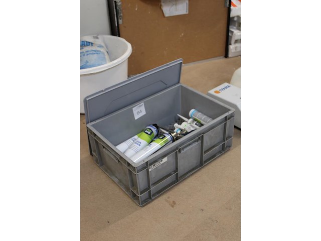 Purschuim en kitten in kunststof krat. - afbeelding 2 van  3