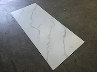 Pvc wit marmer paneel mat (5x) - afbeelding 4 van  5