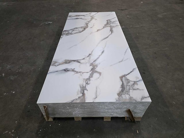 Pvc wit marmeren wandpaneel mat (5x) - afbeelding 13 van  18