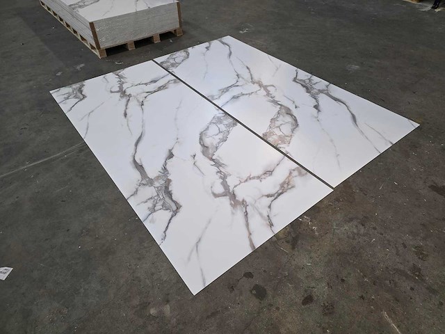 Pvc wit marmeren wandpaneel mat (5x) - afbeelding 2 van  16