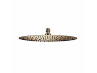 Qisani - flow - hoofddouche - light gold 30 cm - afbeelding 1 van  3