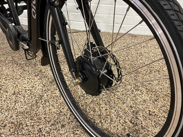 Qivelo tri-velo elektrische driewieler - afbeelding 14 van  19