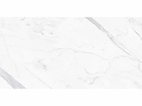 Qua granite calacatta gepolijst 60x60 cm tegel 46,08 m² - afbeelding 7 van  10