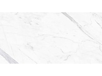 Qua granite calacatta gepolijst 60x60 cm tegel 46,08 m² - afbeelding 10 van  10