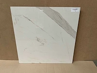 Qua granite calacatta gepolijst 60x60 cm tegel 92,16 m² - afbeelding 1 van  10