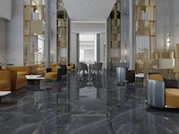 Qua granite space anthracite gepolijst vloertegel 60x60 cm 46,08 m² - afbeelding 2 van  8