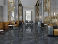 Qua granite space anthracite gepolijst vloertegel 60x60 cm 46,08 m² - afbeelding 2 van  8