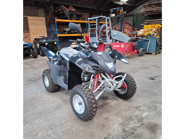 Quad, adly, atv-300xs, 2016 - afbeelding 1 van  22