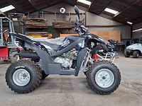 Quad, adly, atv-300xs, 2016 - afbeelding 12 van  22