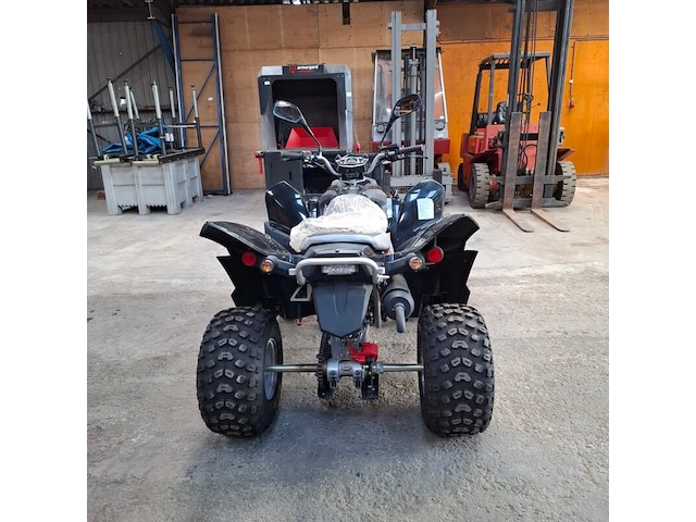 Quad, adly, atv-300xs, 2016 - afbeelding 17 van  22