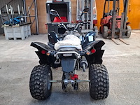 Quad, adly, atv-300xs, 2016 - afbeelding 17 van  22