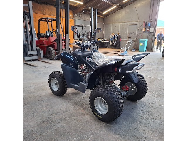 Quad, adly, atv-300xs, 2016 - afbeelding 18 van  22