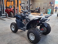 Quad, adly, atv-300xs, 2016 - afbeelding 18 van  22