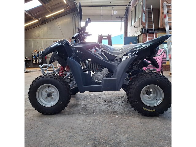 Quad, adly, atv-300xs, 2016 - afbeelding 19 van  22